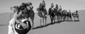 Camel Caravan_Source Pamela Ross