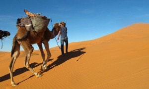 Camel tour Camel trekking Sahara desert Morocco_Source NOSADE