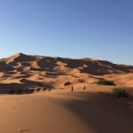 Camel trekking Sahara Desert_Source NOSADE