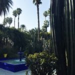 Garden Marrakech_Source NOSADE