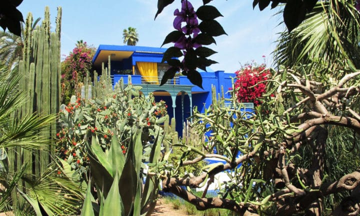 green-marrakech-yoga-retreats-jardin-majorelle_source-nosade