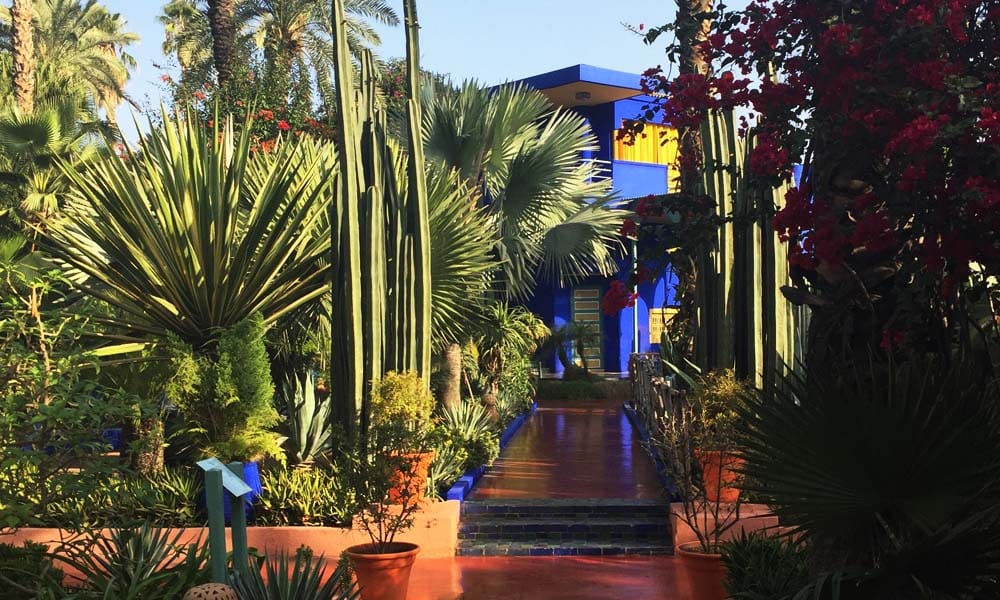 <b>Jardin Majorelle</b>