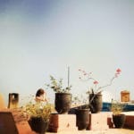 Katrin Riad rooftop_Source NOSADE