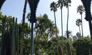 marrakech-green-gardens_source-nosade
