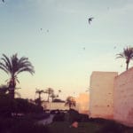 marrakech-sunset-medina-walls_source-nosade