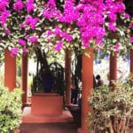 Moroccan flowers_Source NOSADE