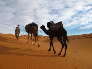 Morocco Desert Camel Trekking Merzouga Erg Chebbi_Source NOSADE