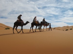 Morocco Sahara desert camel trekking Sea of Sands Erg Chebbi_Source NOSADE