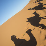 Nosade-Wüste-Kamel-Schatten_Source Katbuzz