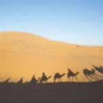 Nosade-Wüste-Kamele-Schatten_Source Katbuzz