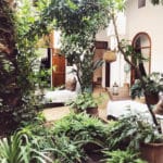 Patio Garden NOSADE Riad Marrakech_Source NOSADE