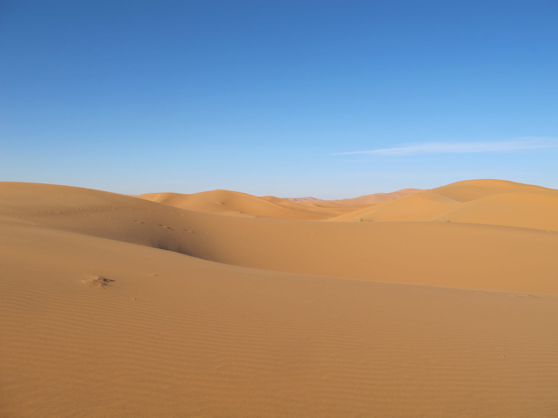 Sea of Sands Erg Chebbi Morocco Sahara Desert_Source NOSADE - NOSADE