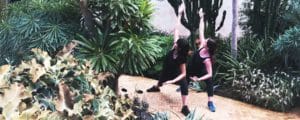 yoga-garden-marrakech_source-nosade