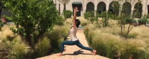 Yoga & Green Marrakech_Source NOSADE